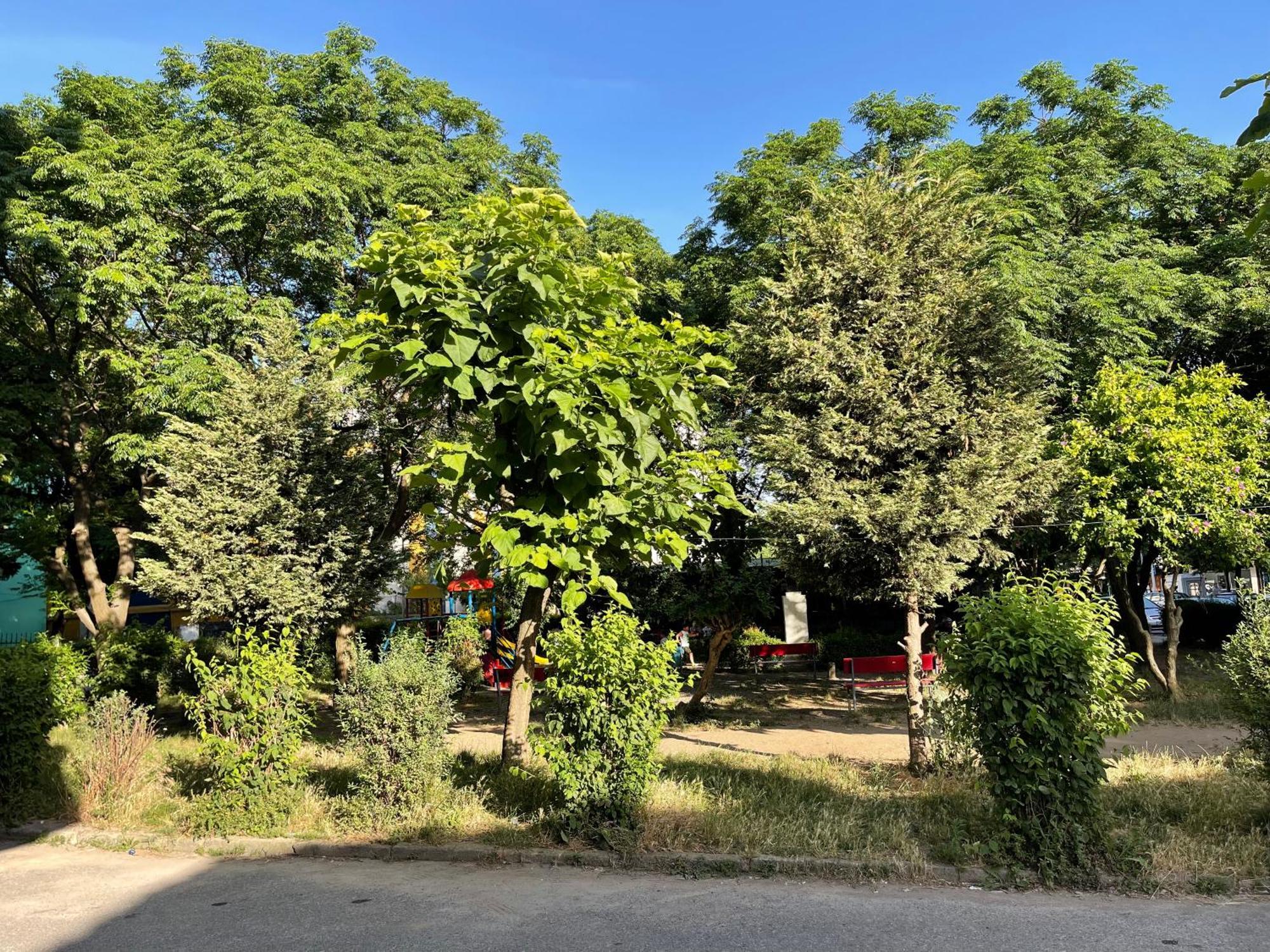 Nos Luxury Rooms Szkodra Zewnętrze zdjęcie